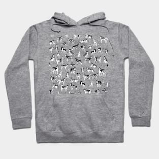 Many Husky dogs Hoodie